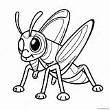 Grasshopper Coloring Page 38383 30355 sketch template