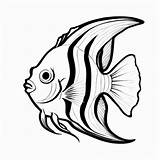 Angelfish Outline Black And White Cute coloring Book  Premium AI sketch template