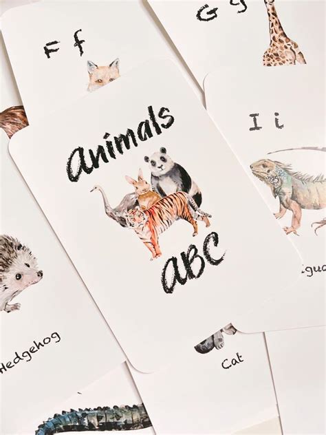 Animals ABC Flashcards, Hobbies & Toys, Books & Magazines, Children's Books on Carousell