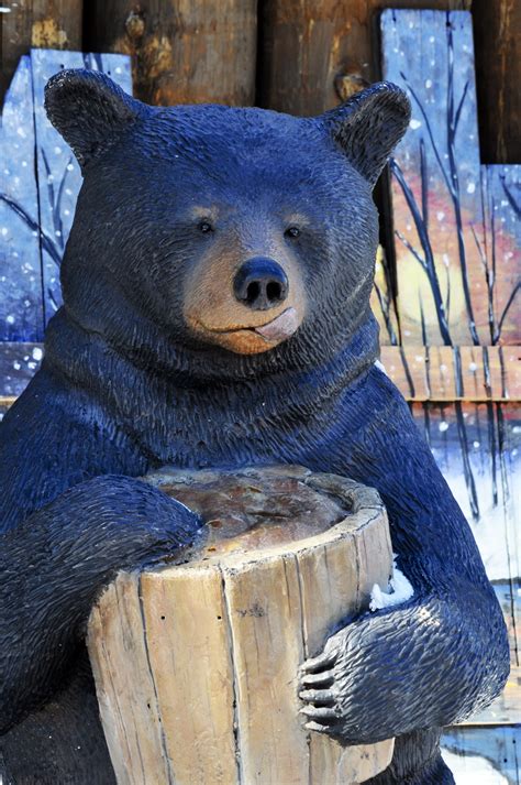 Bear With Paw In Honey Pot Free Stock Photo - Public Domain Pictures