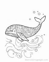 Whale Coloring Pages  9 Free Printable AI Generated Designs sketch template