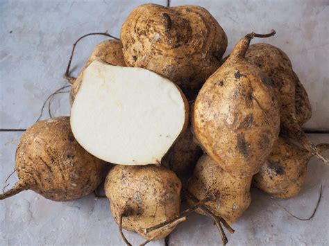 What Is Jicama? Benefits, Nutrition Facts, and Ways to Enjoy It