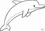 Cute Dolphin coloring Page  Free Printable Coloring Pages sketch template