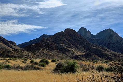 Chihuahuan Desert - New Mexico