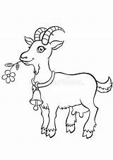 Goat Coloring sketch template
