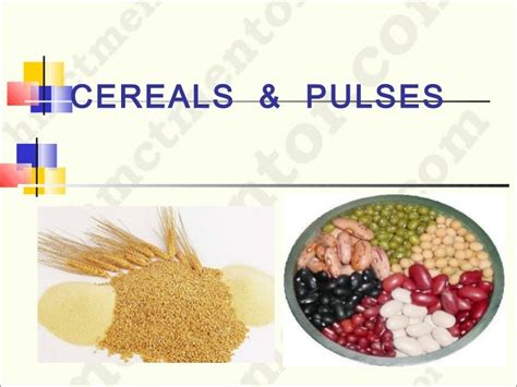 Cereals & pulses