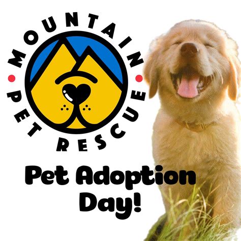 Dog Adoption Day! by MTN Pet Rescue | French Broad River Brewery