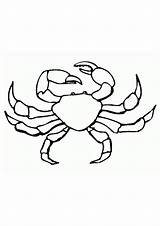 Coloring Pages  Printable Crab For Kids sketch template