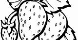 Fresh Strawberry Coloring Pages  Learn To sketch template
