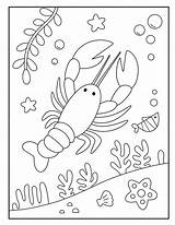 Premium Vector  Lobster coloring Pages For kids sketch template