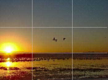 The really strong suggestion of thirds… – Point & Shoot Nature Photographer