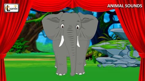 Sounds of Animals Animal sound effects of real animals Kindergarten Learning videos playlist ...