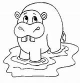 Hippopotamus Coloring Page For Kids  Pages sketch template