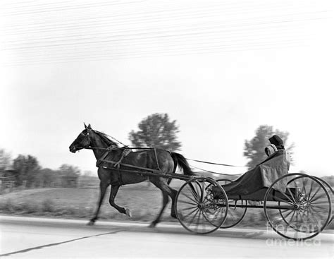 Amish In Horse-drawn Buggy, C.1930s Photograph by H. Armstrong Roberts/ClassicStock - Fine Art ...