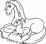 Printable Coloring Pages Horse sketch template