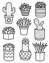 Succulent Pattern Printable Coloring Page  sketch template