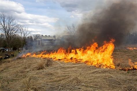 Free picture: big, fire, burning, field, grass