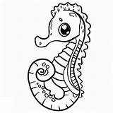 Lovely Seahorse Coloring Page  Download Print Or Color Online For Free sketch template