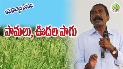 Little Millet -Barnyard Millet Cultivation tips | Millets Farming Expert Vijay Kumar ...