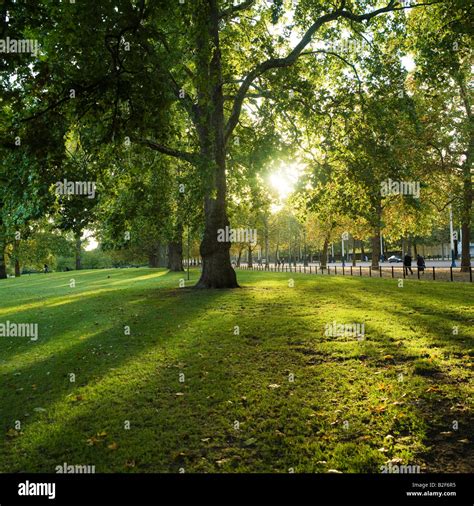 Autumn evening sun shines through the leaves in St. James Park London England Stock Photo - Alamy
