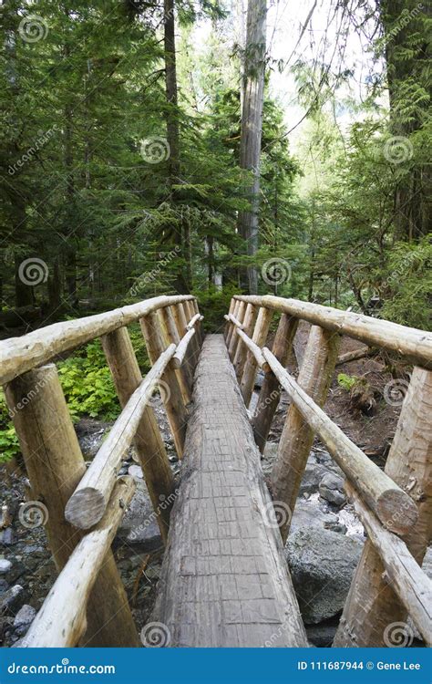 Wooden Log Bridge Across a Creek Stock Photo - Image of stream ...