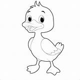 Premium Vector  Duck coloring Book sketch template