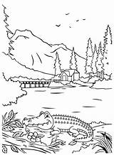Coloring Page Crocodile  Free Printable Pages sketch template