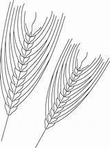 Barley coloring Page  Download Free For Kids sketch template