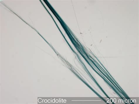 Crocidolite Asbestos Under the Microscope