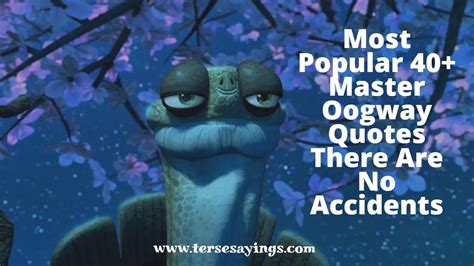 Master Oogway Quotes There Are No Accidents