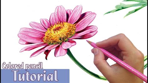 Easy Simple Flower Drawings With Color - Foto Kolekcija