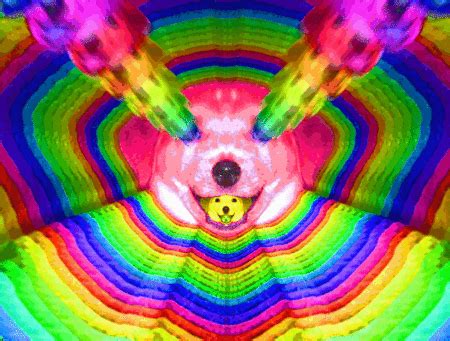Pin by Audio in the Trees on gifs | Colorful gifs, Trippy gif, Psychedelic