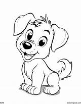 Bulldog Coloring Page sketch template