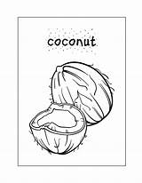 Coconut Coloring Pages – Printable FREE sketch template