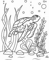 Sea Turtle Coloring Page For Kids 8998208 Vector Art At Vecteezy sketch template