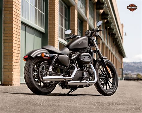 Harley Davidson Accessories Guide: Enjoy The Freedom, The Open Road, The Wind On Your Face And ...