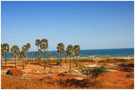 Driving Towards Rushikonda Beach-Vizag - India Travel Forum | IndiaMike.com