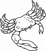 Free Printable Crab Coloring Pages For Kids  Animal Place sketch template