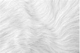30300 White Fur Texture Stock Photos  Free & Royalty sketch template