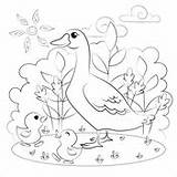 Ausmalbilder Enten  Malvorlagen Kostenlos Zum Ausdrucken sketch template