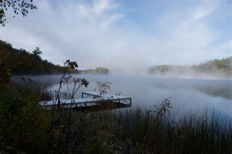 Fog over Lake · Free Stock Photo