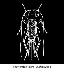 Insect Animal Cricket Bug Vector Stock Vector (Royalty Free) 2208852353 ...