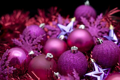 Free Stock Photo 6825 Purple Christmas celebration | freeimageslive