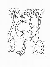 Running Ostrich Coloring Page  Free Printable Pages For Kids sketch template