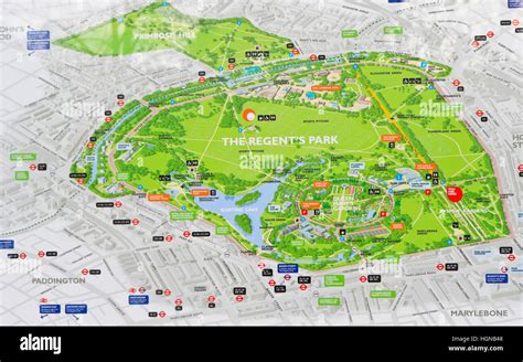 Regents Park London Map - Cities And Towns Map