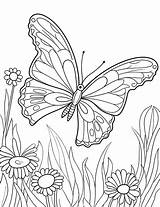 50 Butterfly Coloring Pages Free Printable Sheets sketch template