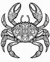 Crab Coloring Pages sketch template