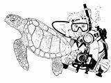 Scuba Diving Coloring Pages  Free Printable For Kids sketch template