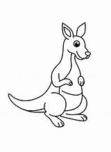 A Cute Kangaroo coloring Page  Download Print Or Color Online For Free sketch template