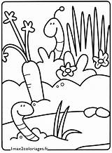 Earthworm Coloring Page Free Printable Coloring Pages sketch template